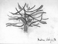Figura 2.Boceto de la autora sobre el cuadro de Piet Mondrian Árbol gris (1911) 